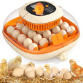 Chickcozy Automatic 25-Egg Incubator